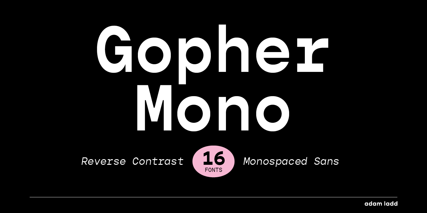 Przykład czcionki Gopher Mono Light Italic